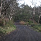 048_South_Lane