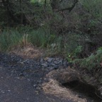 015_North_Lane_culvert
